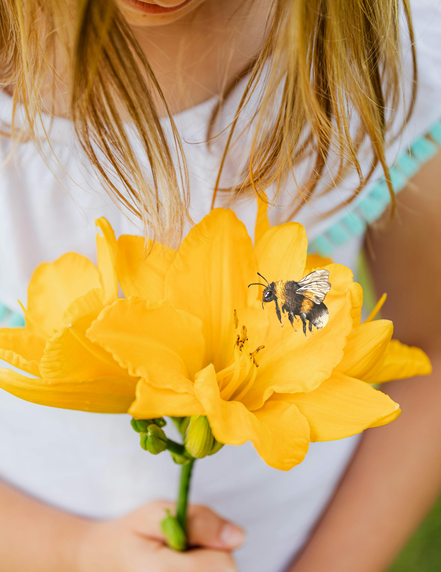 Bee Here Melissa Davies (1)